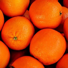오렌지 최고 브랜드 퓨어스펙 블랙라벨 네이블 오렌지 15개(중대과 개당 중량 190~235g)