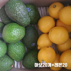 궁합좋은 수입과일 아보카도 레몬/아보20개+레몬20
