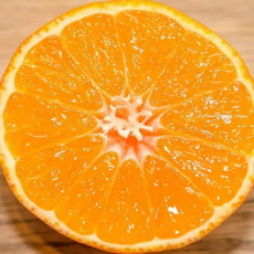 오렌지 최고 브랜드 퓨어스펙 블랙라벨 네이블 오렌지 15개(중대과 개당 중량 240~270g)