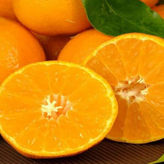오렌지 최고 브랜드 퓨어스펙 블랙라벨 네이블 오렌지 10개(중대과 개당 중량 240~270g)